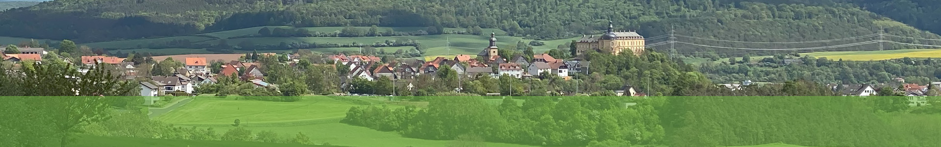 Alt Wildunger Bürgerverein in Nordhessen